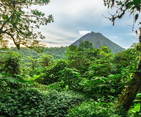 Volcan Arenal Among Dense Jungle in Costa Rica